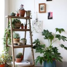 Splendide étagère à plante dans un intérieur minimaliste !