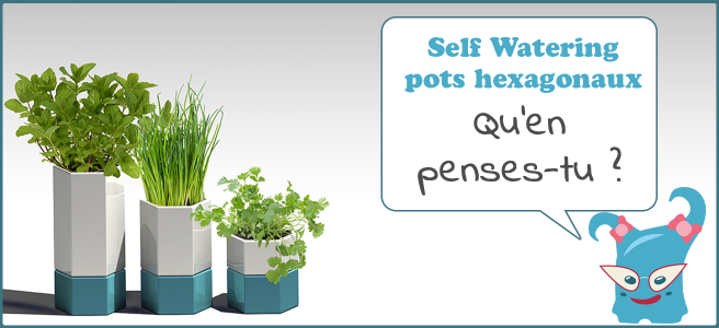 Que penses-tu de ces Self Watering Pots hexagonaux ? C'est ma dernière idée déco et j'ai besoin de ton avis !