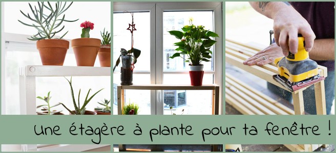 Une étagère à plante pour fenêtre !